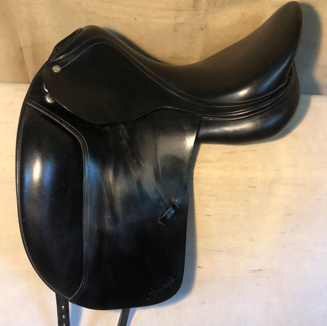 Amerigo dressur sort 17’