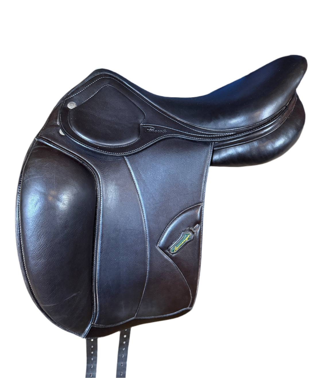 Amerigo Pinerolo 17 M