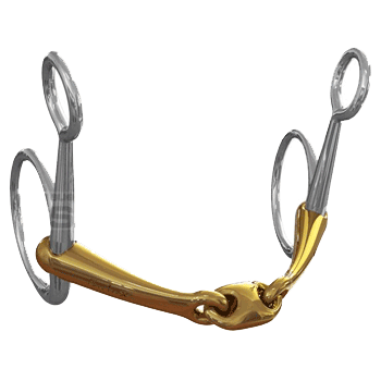 Neue Schule Baucher trensebid