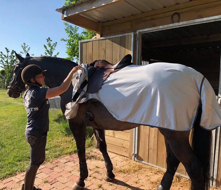 Ride insektdækken minus hals