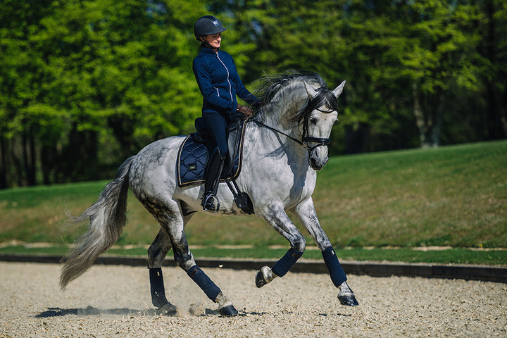 Equestrian Stockholm Dressur Underlag - Royal Classic Navy