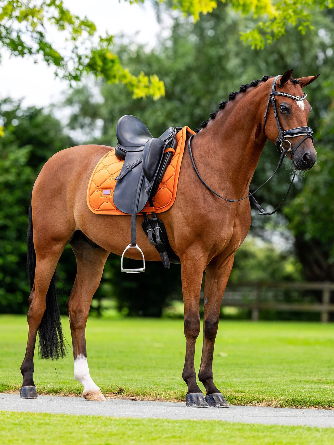 Equestrian Stockholm Dressur Underlag - Velvet Chestnut