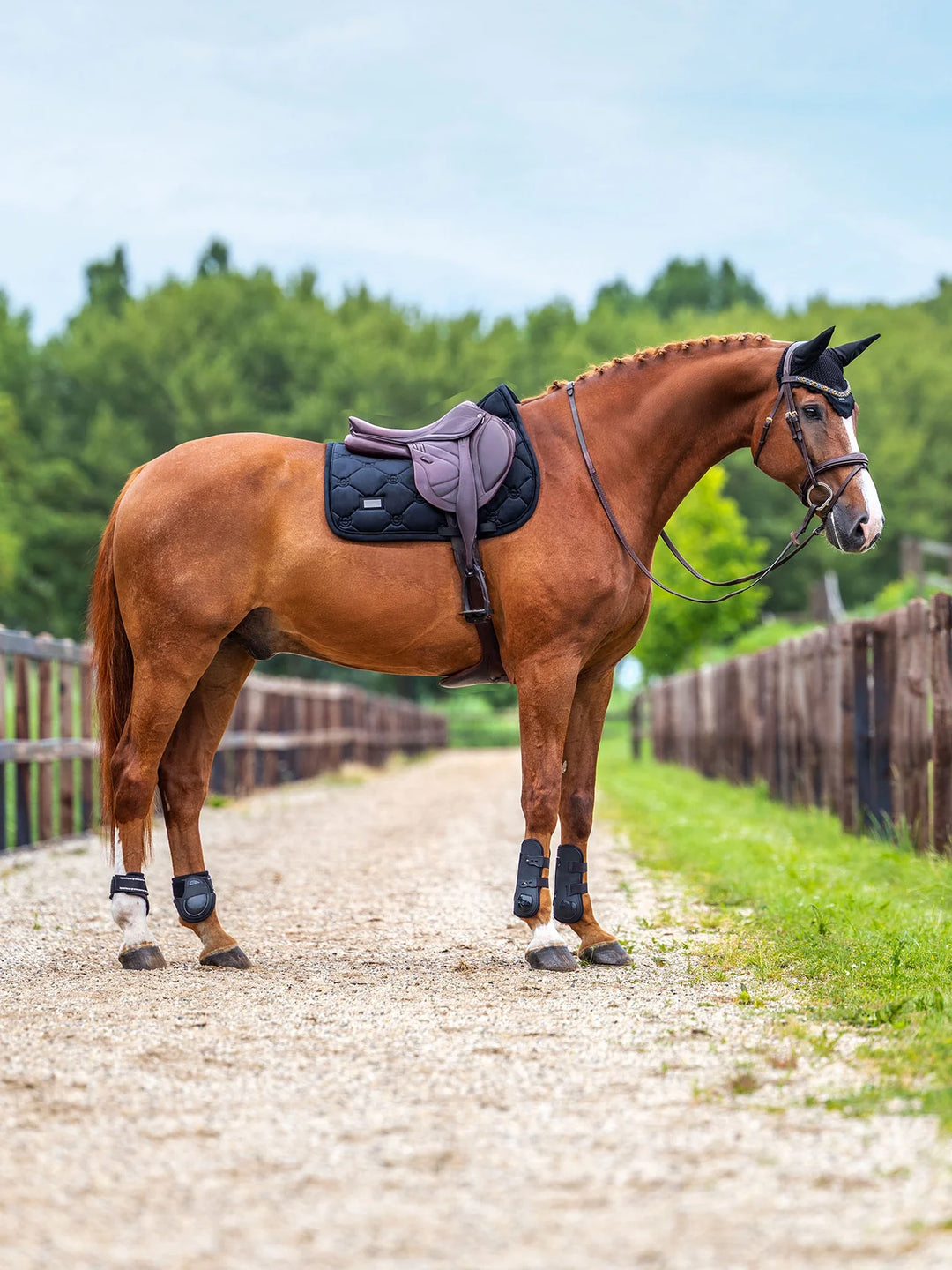 Equestrian Stockholm Spring Underlag - Velvet Black