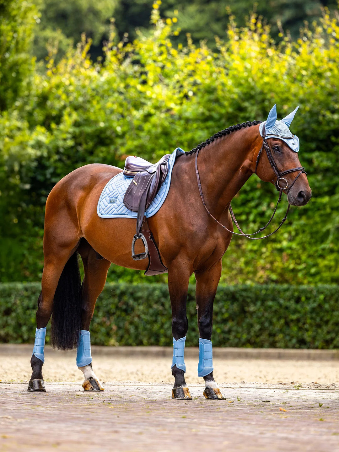 Equestrian Stockholm Spring Underlag - Modern Midsummer Blush Blue