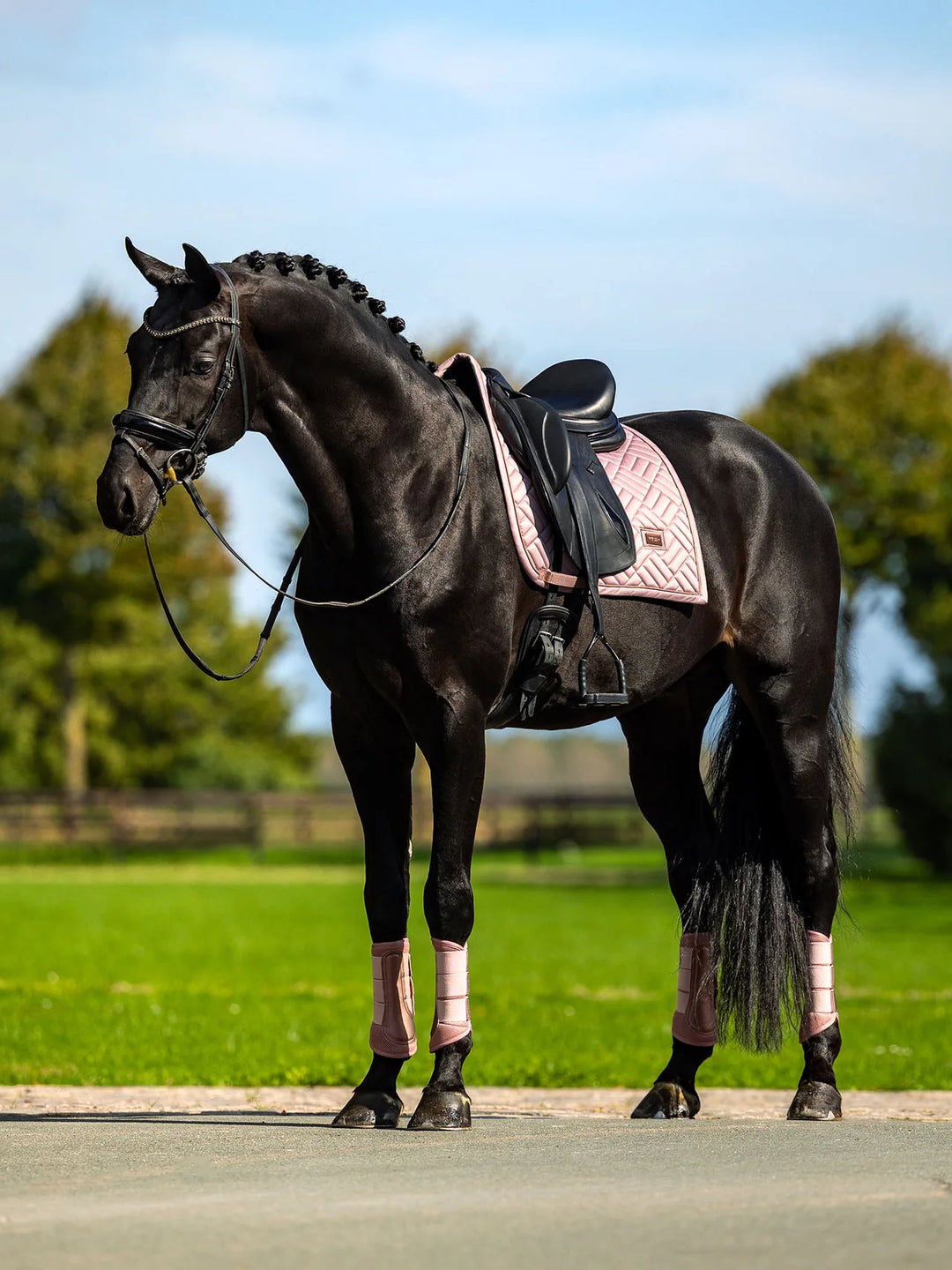 Equestrian Stockholm Dressur Underlag - Modern Midsummer Blush