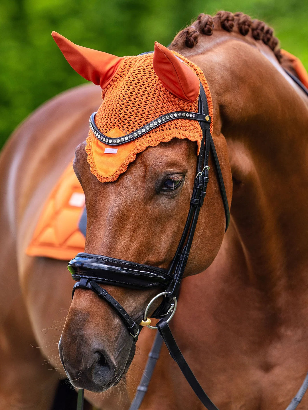 Equestrian Stockholm hut - Velvet Chestnut