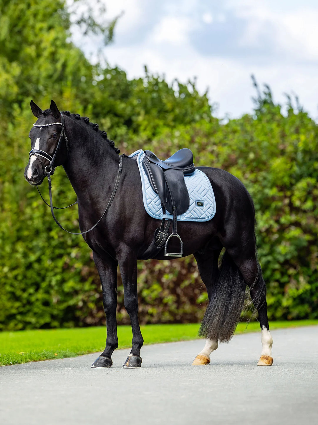 Equestrian Stockholm Dressur Underlag - Modern Midsummer Blush Blue