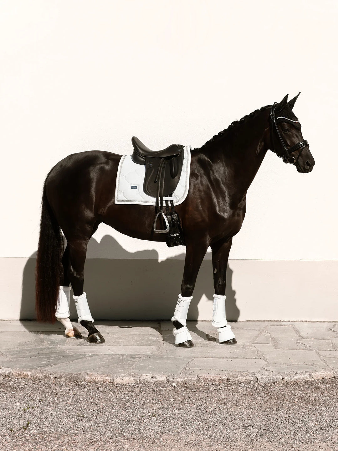 Equestrian Stockholm Dressur Underlag - Timeless White Glimmer