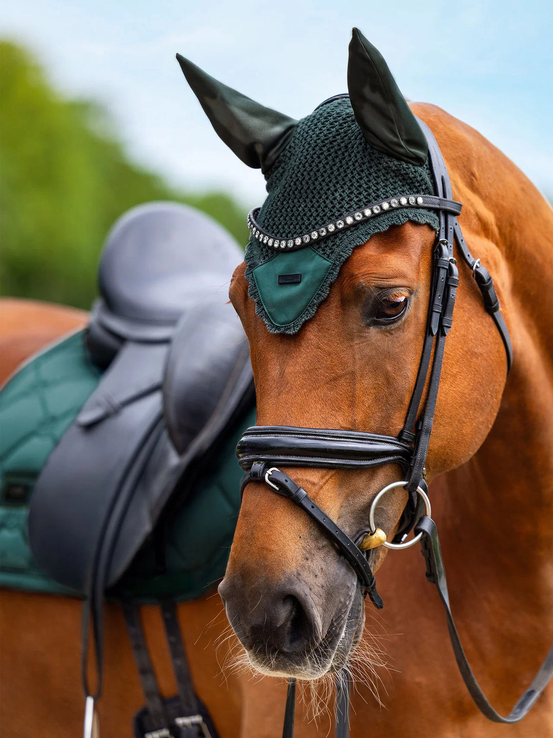 Equestrian Stockholm hut - Sycamore Green