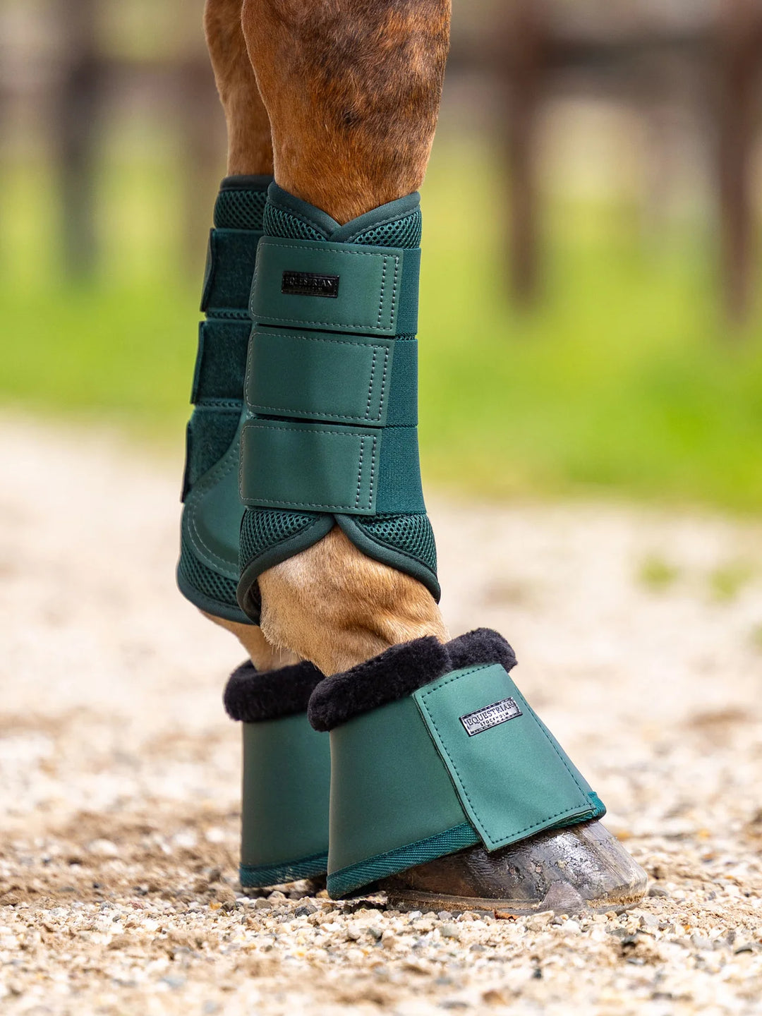 Equestrian Stockholm gamacher Mesh Brushing Boots - Sycamore Green