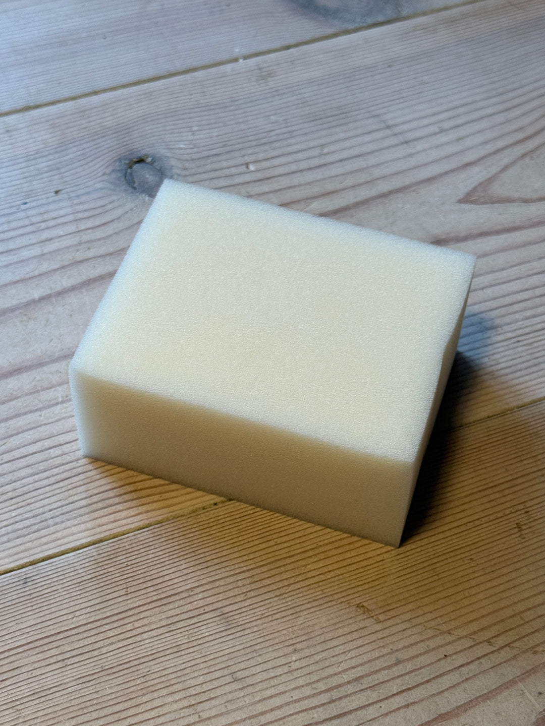 Källquist Pudsesvamp