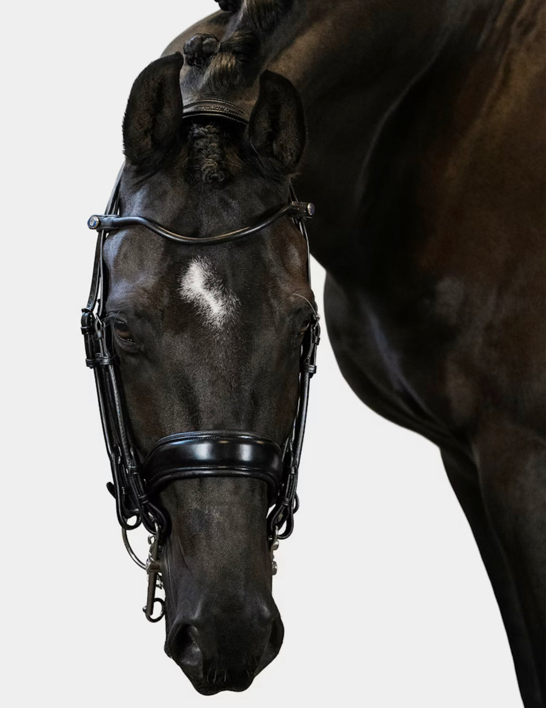 PS of Sweden - Passage revolution kandar