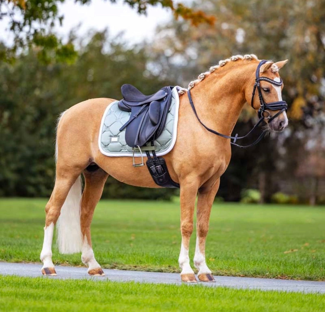 Equestrian Stockholm Dressur Underlag - Pistachio White
