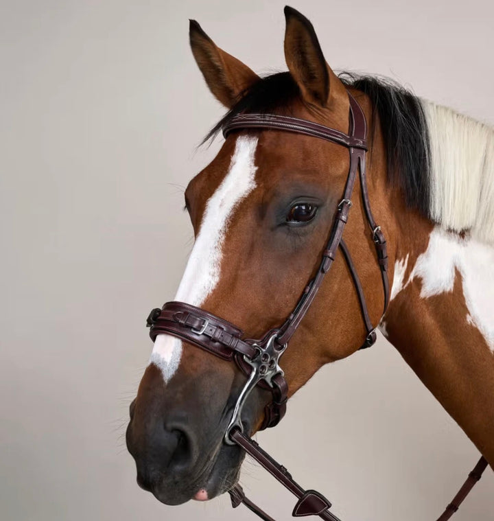 Dyon Hackamore Trense