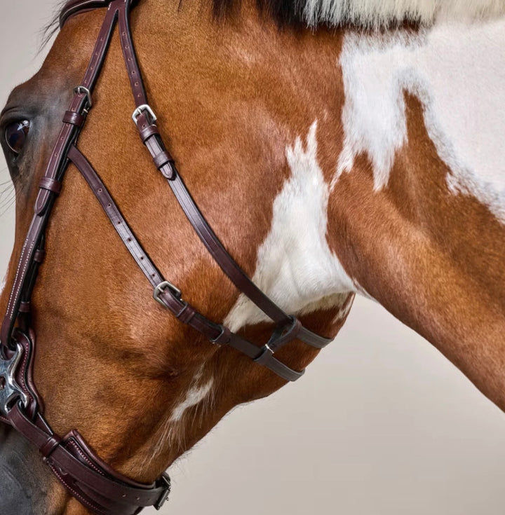 Dyon Hackamore Trense