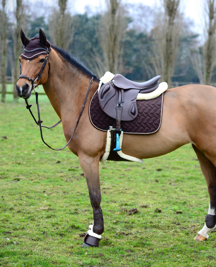 Pladegjord med Lammeskind fra Kentucky Horsewear - Brun