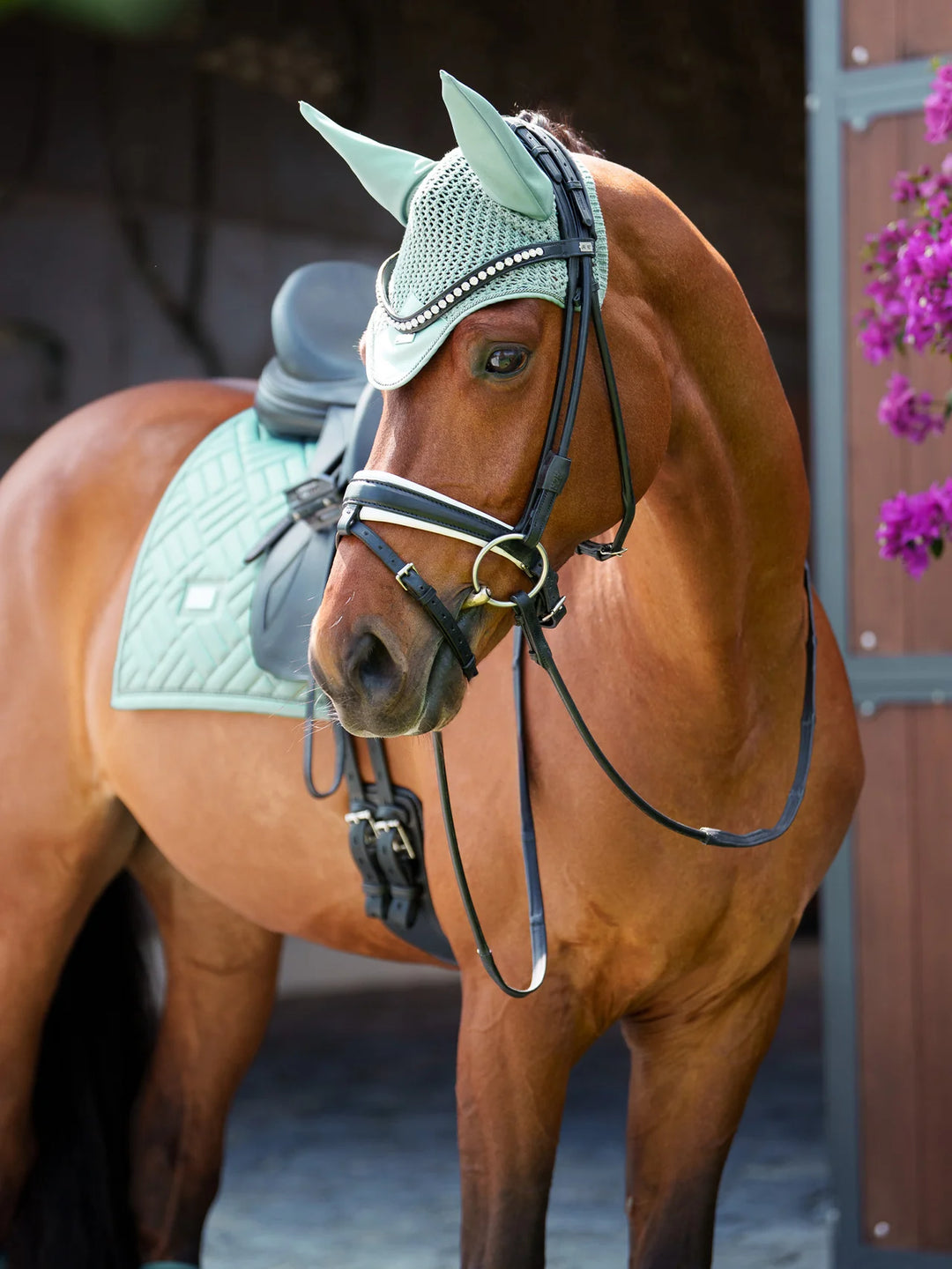 Equestrian Stockholm hut - Mint Green