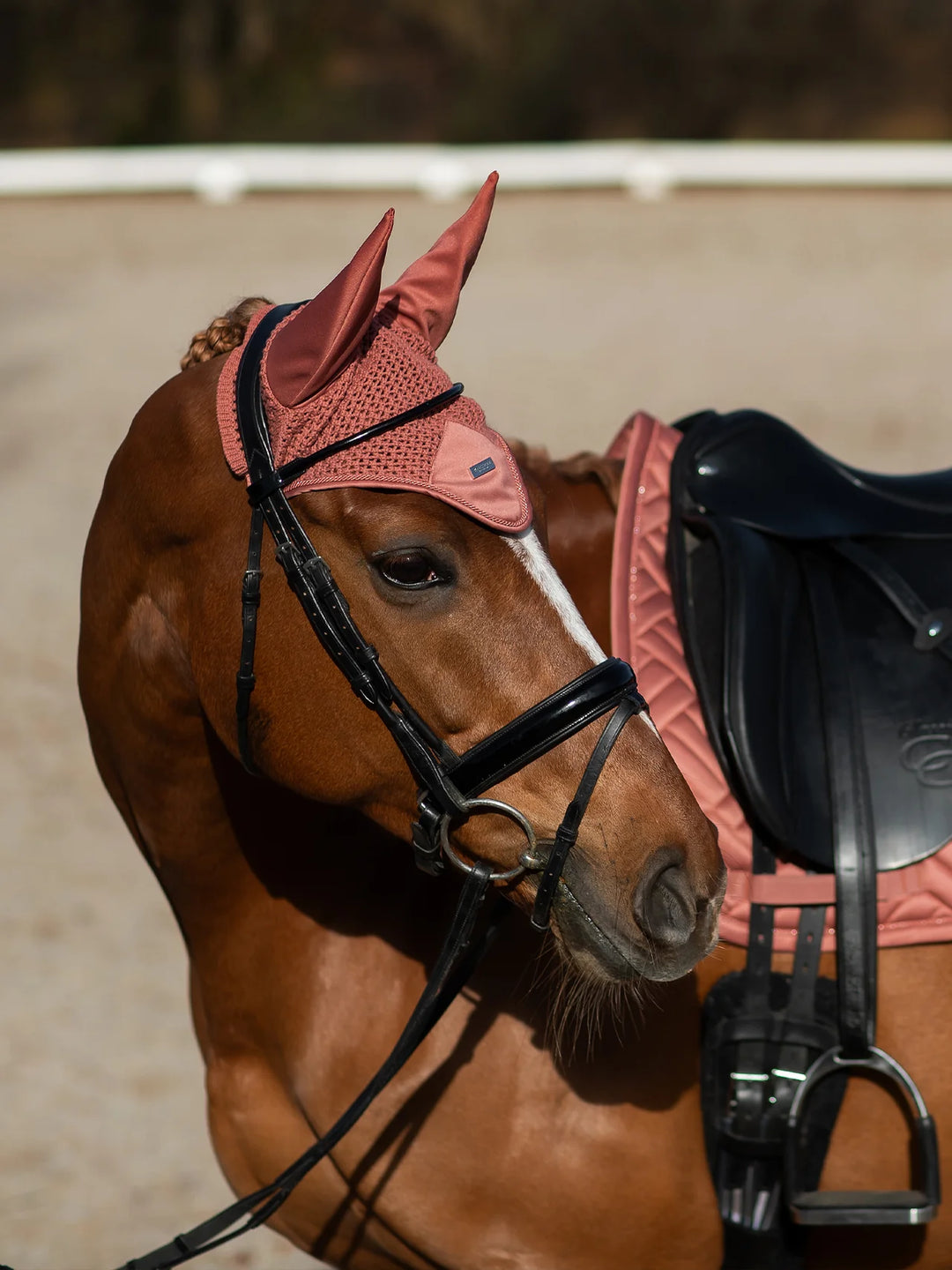 Equestrian Stockholm hut - Coral