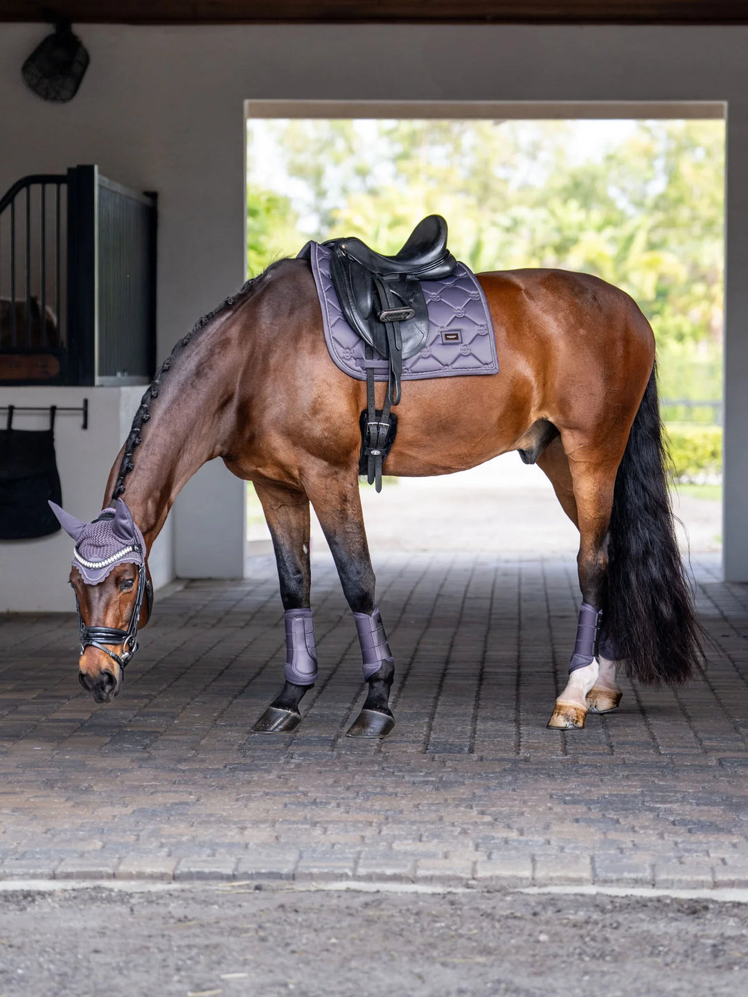 Equestrian Stockholm Dressur Underlag - Dark Violet