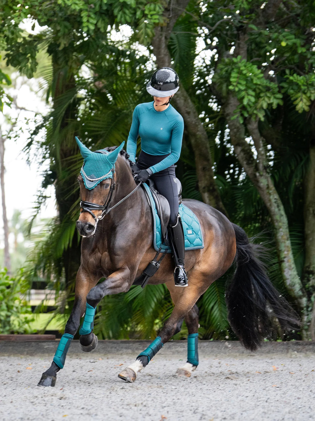 Equestrian Stockholm Dressur Underlag - Teal Blue