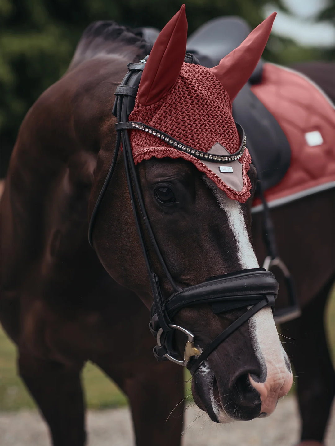 Equestrian Stockholm hut - Amber Rose