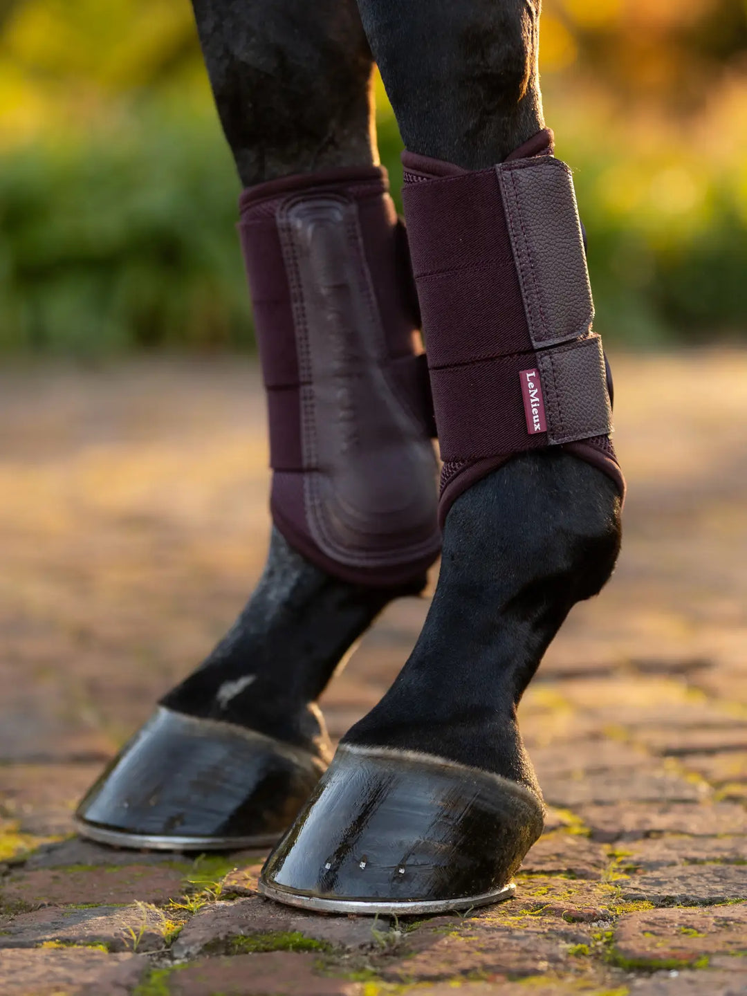LeMieux Arika Mesh Brushing Boots - Damson