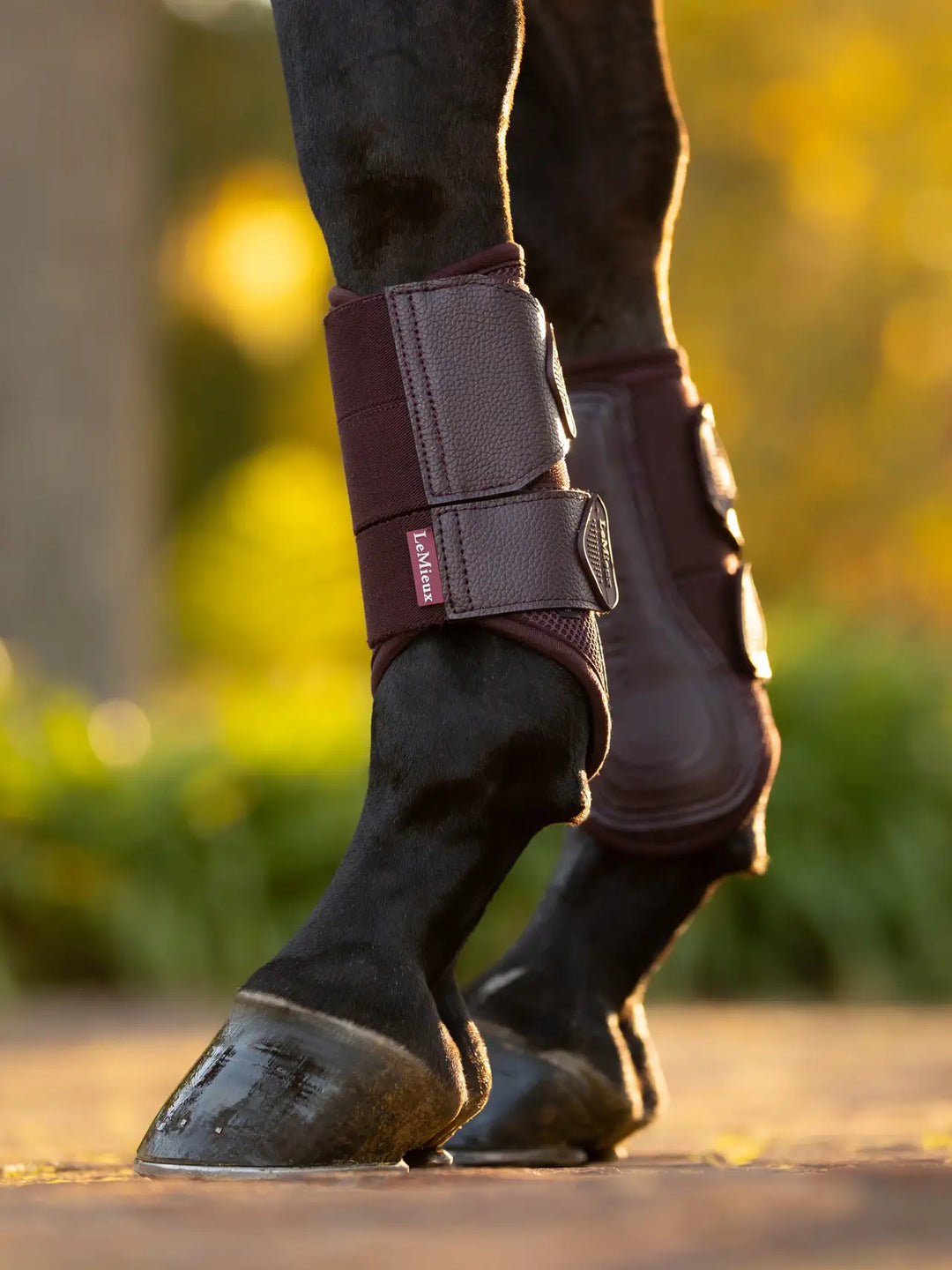 LeMieux Arika Mesh Brushing Boots - Damson