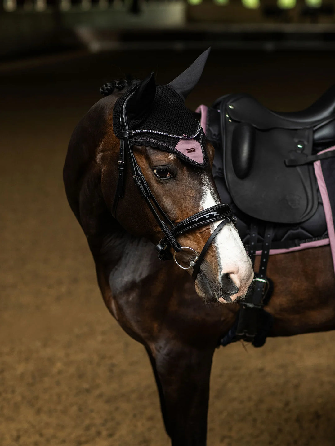 Equestrian Stockholm hut - Black Blush