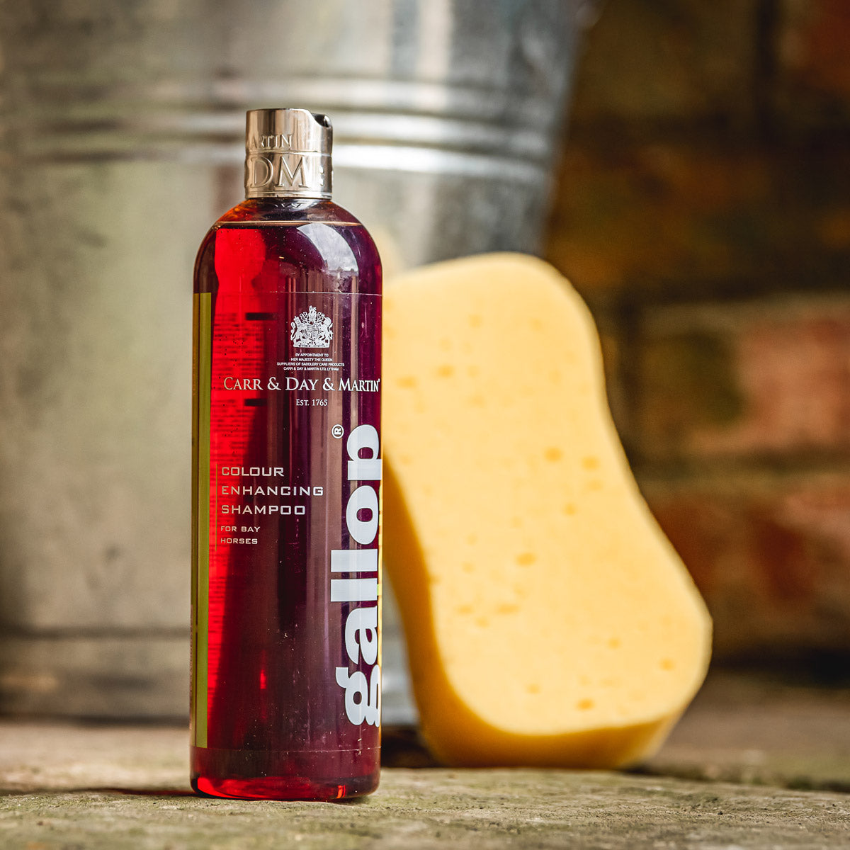 Carr & Day & Martin - Gallop Colour Shampoo