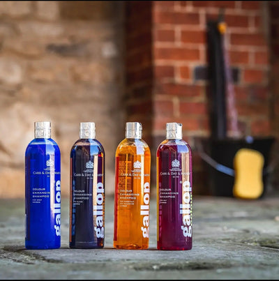 Carr & Day & Martin - Gallop Colour Shampoo