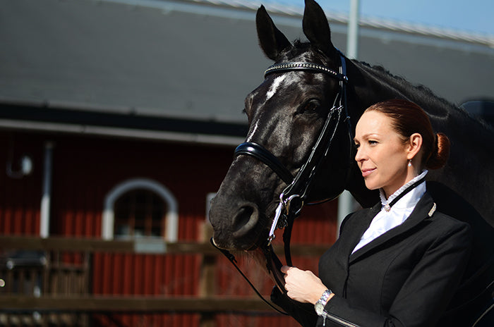 Equestrian Stockholm Plastron - Black Edition