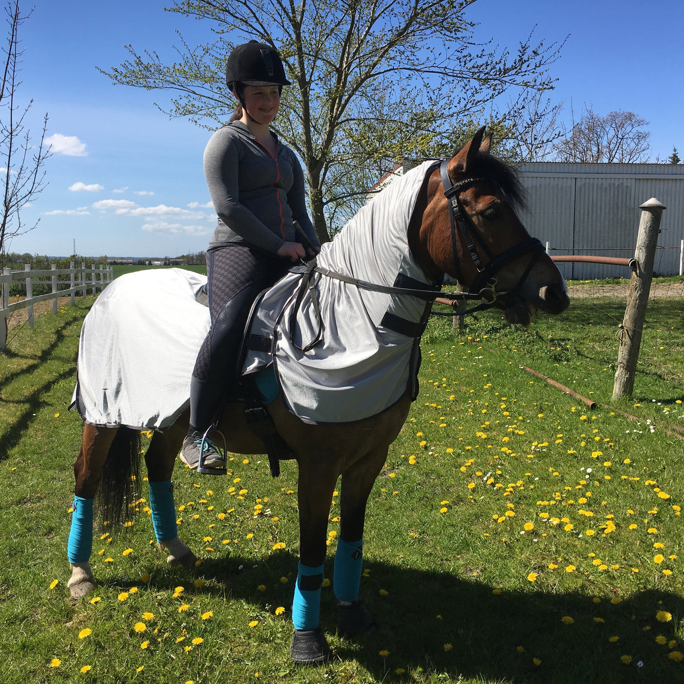 Ride insektdækken