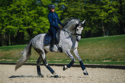 Equestrian Stockholm Dressur Underlag - Royal Classic Navy