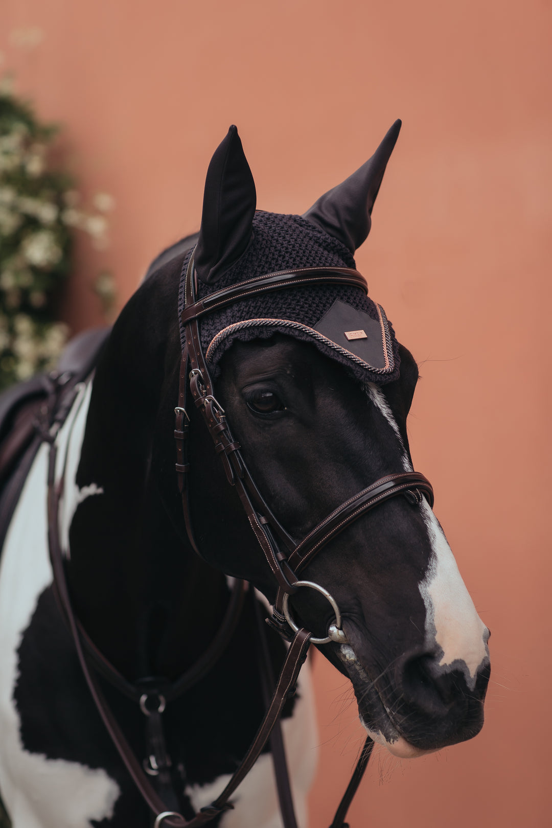 Equestrian Stockholm hut - Dark Sky
