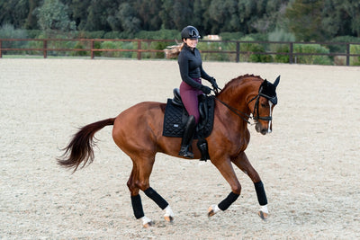Equestrian Stockholm Dressur Underlag - Total Eclipse