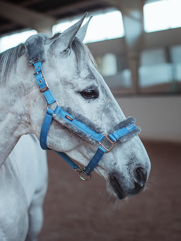 Equestrian Stockholm Grime - Parisian Blue