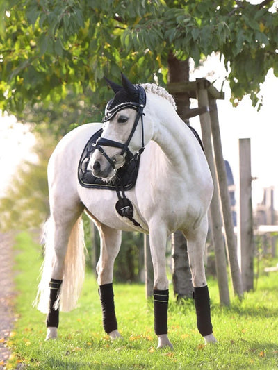 Equestrian Stockholm Dressur Underlag - Black Edition Gold