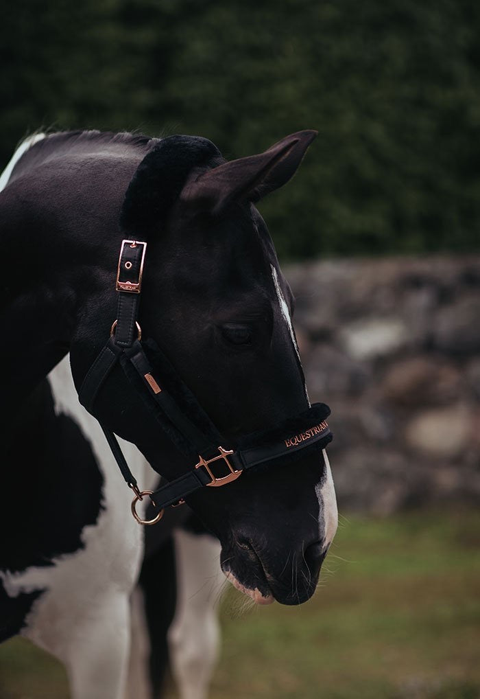 Equestrian Stockholm Grime - Dark Sky