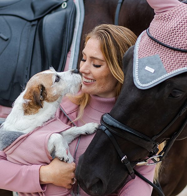 Equestrian Stockholm Hundedækken - Pink